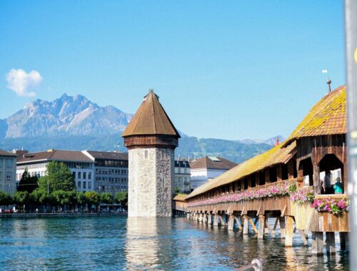 lucerne