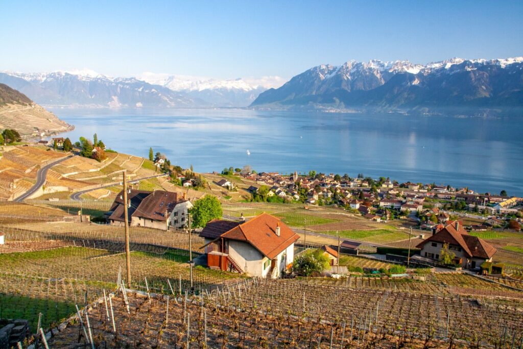 vaud